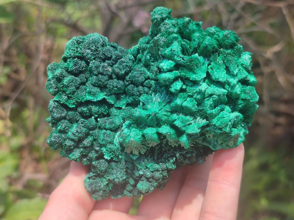 Natural Silky Malachite Specimens x 2 From Kasompe, Congo - Toprock Gemstones and Minerals 