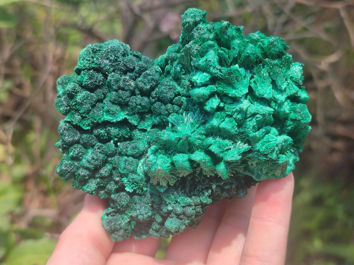 Natural Silky Malachite Specimens x 2 From Kasompe, Congo - Toprock Gemstones and Minerals 