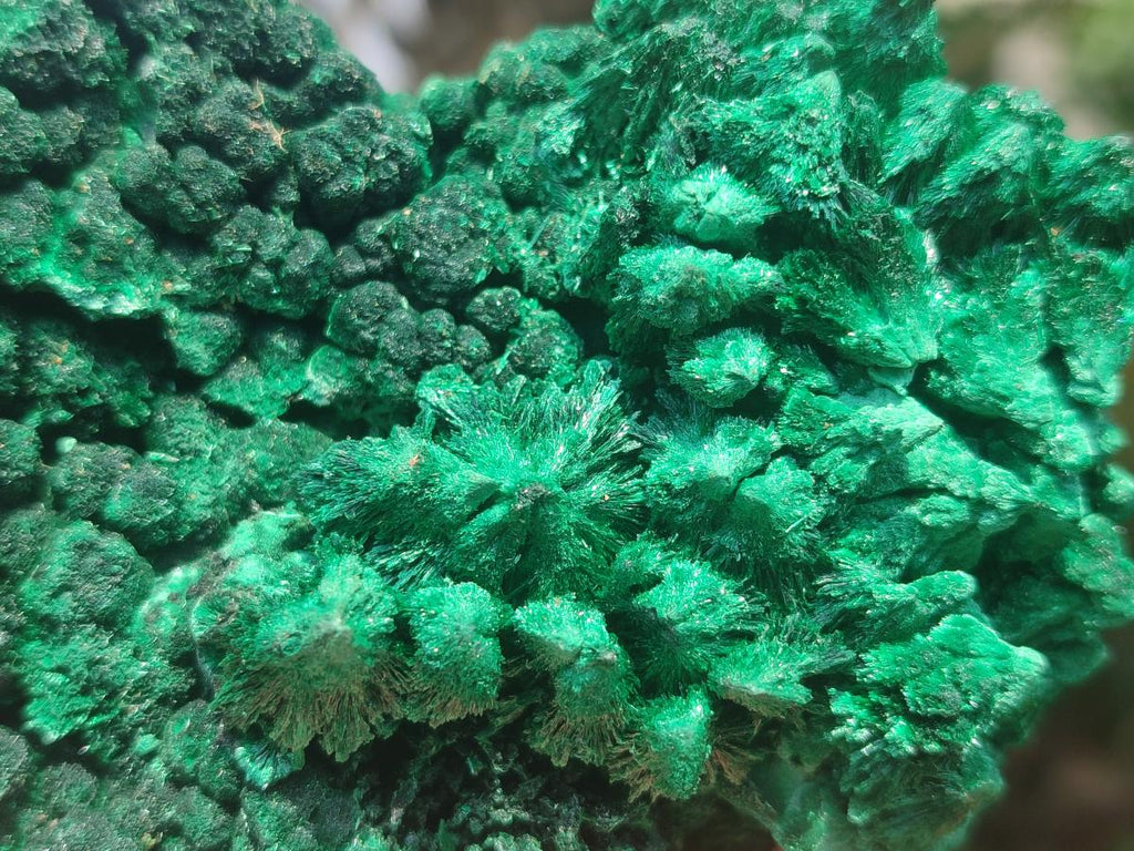 Natural Silky Malachite Specimens x 2 From Kasompe, Congo - Toprock Gemstones and Minerals 