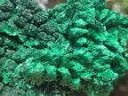 Natural Silky Malachite Specimens x 2 From Kasompe, Congo - Toprock Gemstones and Minerals 