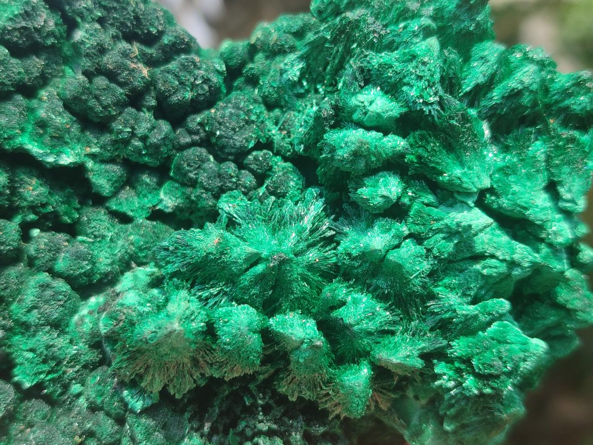 Natural Silky Malachite Specimens x 2 From Kasompe, Congo - Toprock Gemstones and Minerals 