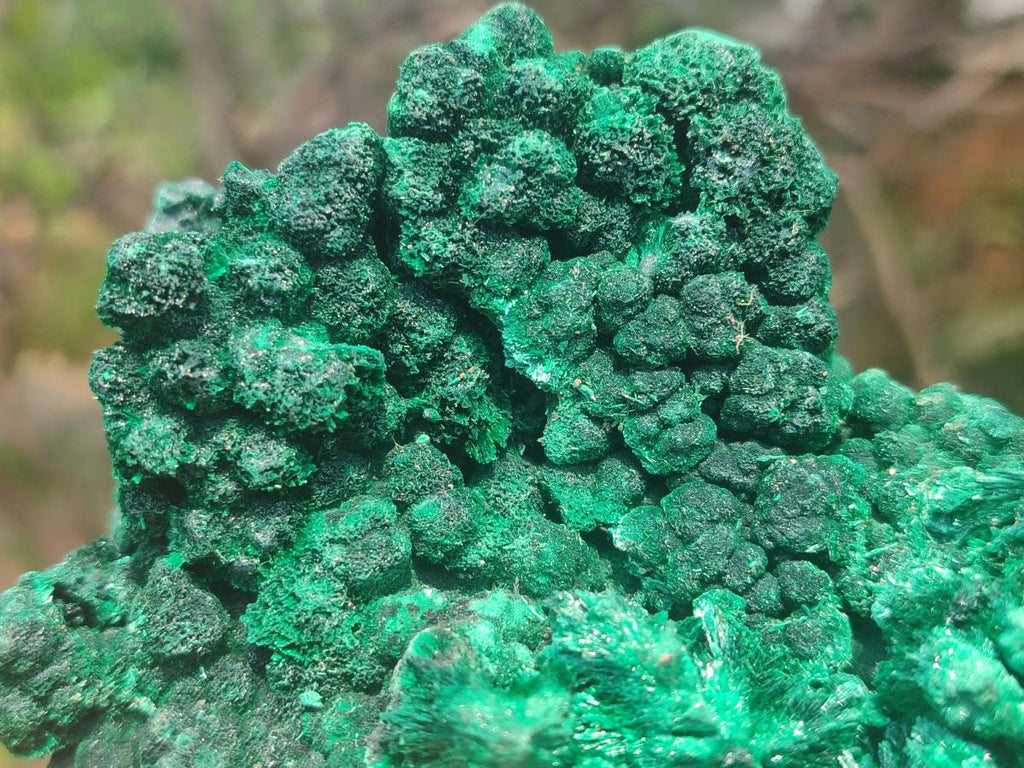 Natural Silky Malachite Specimens x 2 From Kasompe, Congo - Toprock Gemstones and Minerals 