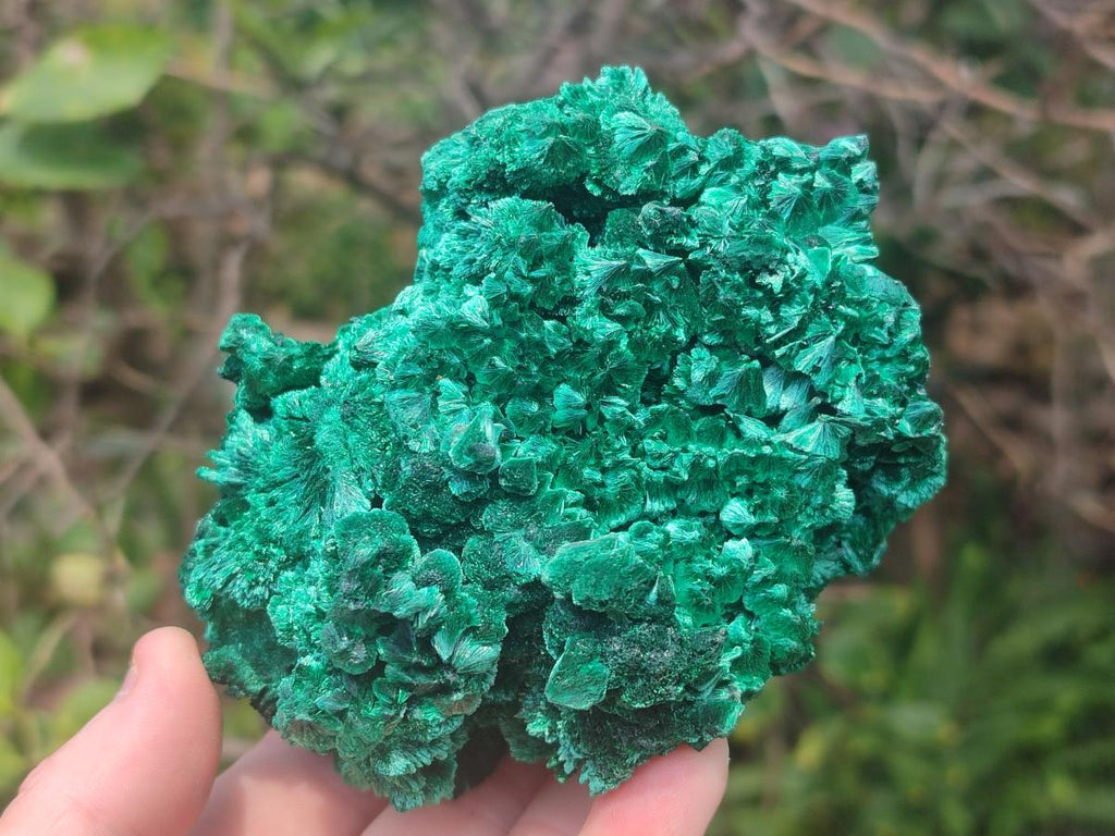 Natural Silky Malachite Specimens x 2 From Kasompe, Congo - Toprock Gemstones and Minerals 