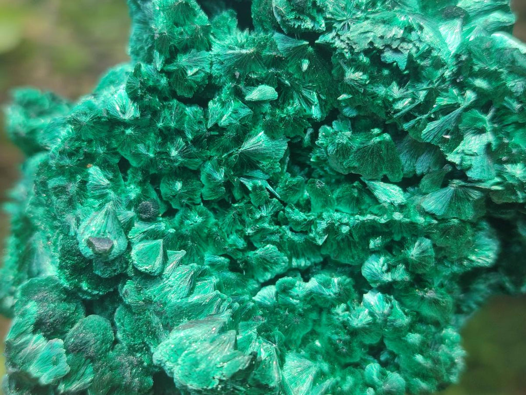 Natural Silky Malachite Specimens x 2 From Kasompe, Congo - Toprock Gemstones and Minerals 