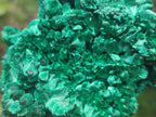 Natural Silky Malachite Specimens x 2 From Kasompe, Congo - Toprock Gemstones and Minerals 