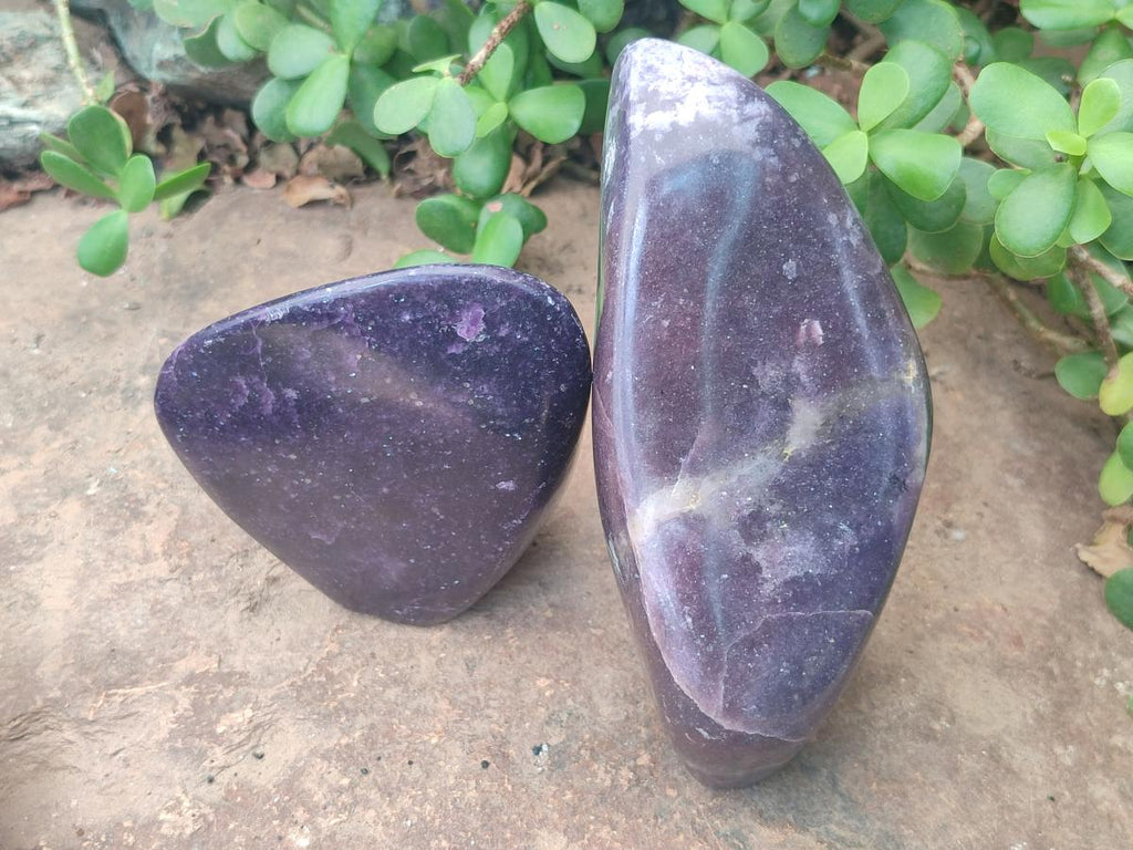 Polished Lepidolite Standing Display Pieces x 2 From Zimbabwe - Toprock Gemstones and Minerals 