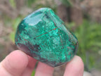 Polished Shattuckite Free Forms with Malachite x 6 From Kaokoveld, Namibia - Toprock Gemstones and Minerals 