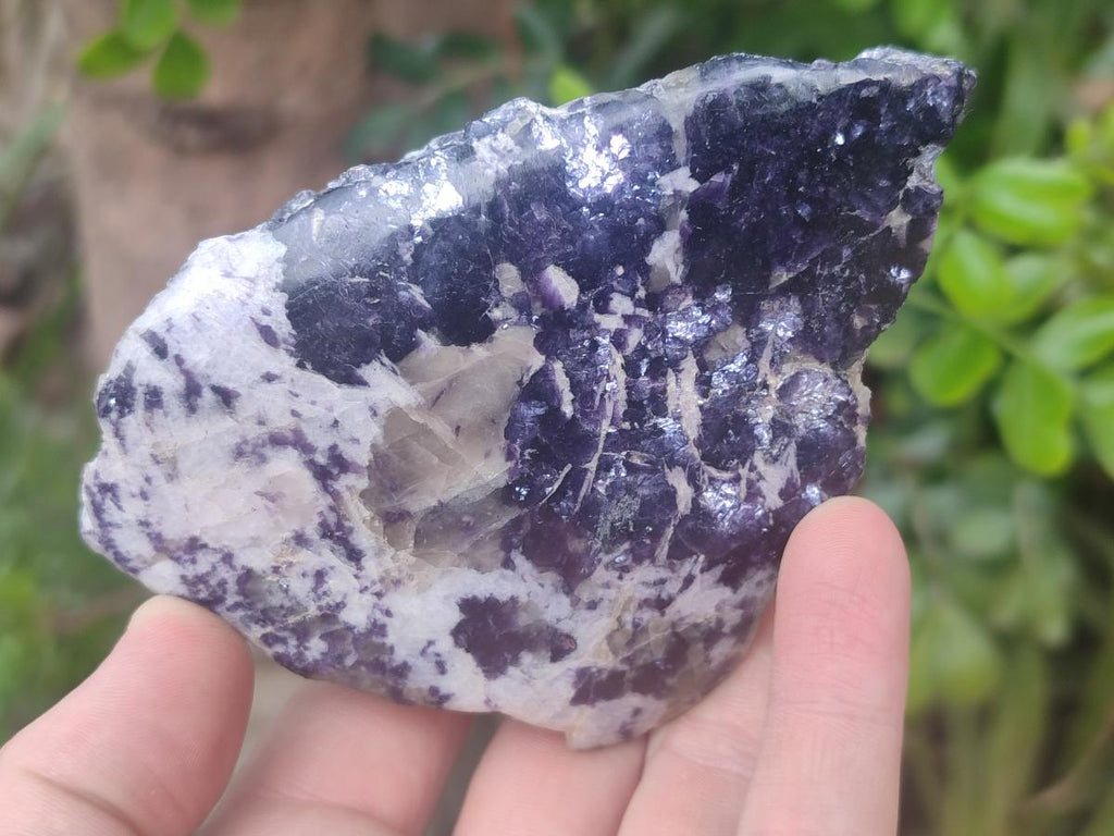 Polished One Side Lithium Silver Leaf Lepidolite Specimens x 6 From Zimbabwe - Toprock Gemstones and Minerals 