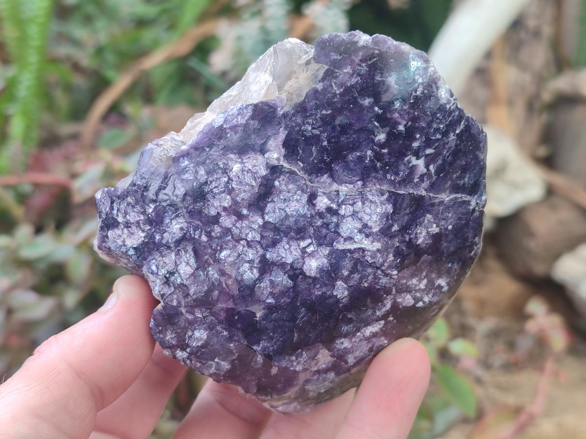 Polished One Side Lithium Silver Leaf Lepidolite Specimens x 6 From Zimbabwe - Toprock Gemstones and Minerals 