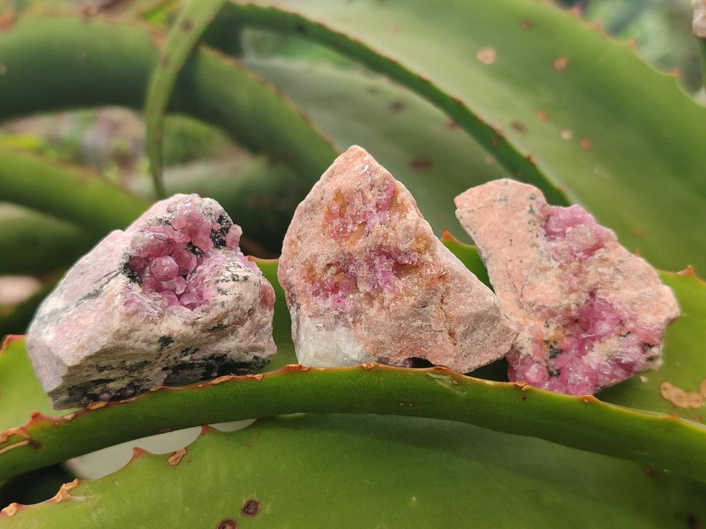 Natural Spherocobaltite Specimens x 53 From Mashamba West Mine, Congo - Toprock Gemstones and Minerals 