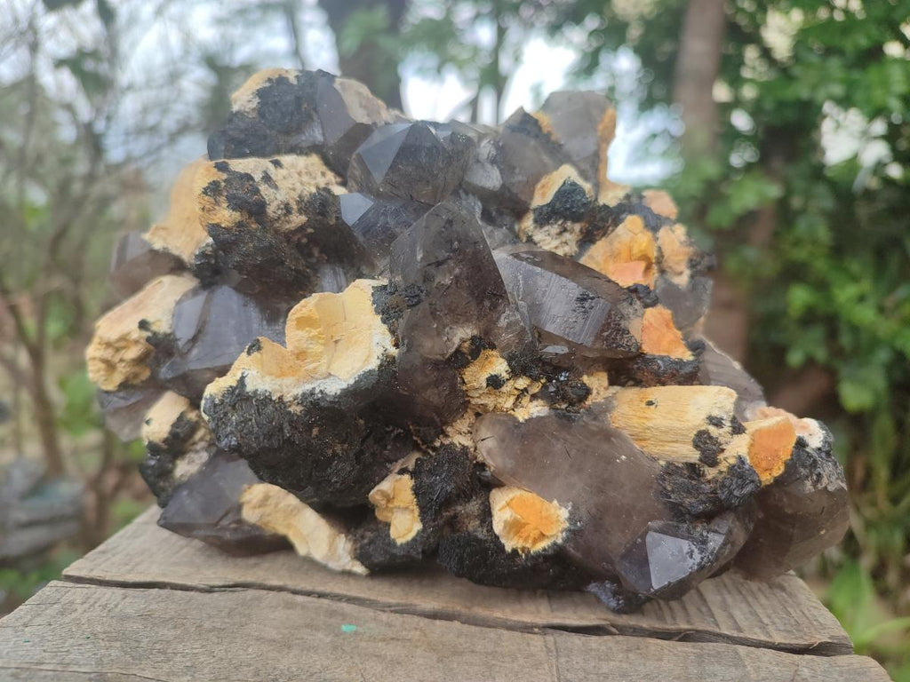 Natural Large Smokey Quartz Cluster with Schorl Black Tourmaline and Feldspar x 1 From Erongo, Namibia - Toprock Gemstones and Minerals 