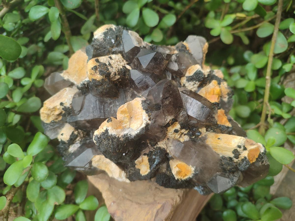 Natural Large Smokey Quartz Cluster with Schorl Black Tourmaline and Feldspar x 1 From Erongo, Namibia - Toprock Gemstones and Minerals 