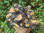 Natural Large Smokey Quartz Cluster with Schorl Black Tourmaline and Feldspar x 1 From Erongo, Namibia - Toprock Gemstones and Minerals 