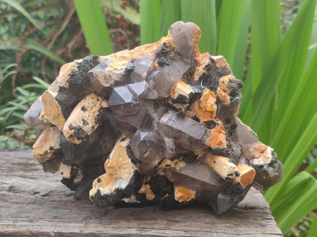 Natural Large Smokey Quartz Cluster with Schorl Black Tourmaline and Feldspar x 1 From Erongo, Namibia - Toprock Gemstones and Minerals 