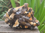 Natural Large Smokey Quartz Cluster with Schorl Black Tourmaline and Feldspar x 1 From Erongo, Namibia - Toprock Gemstones and Minerals 