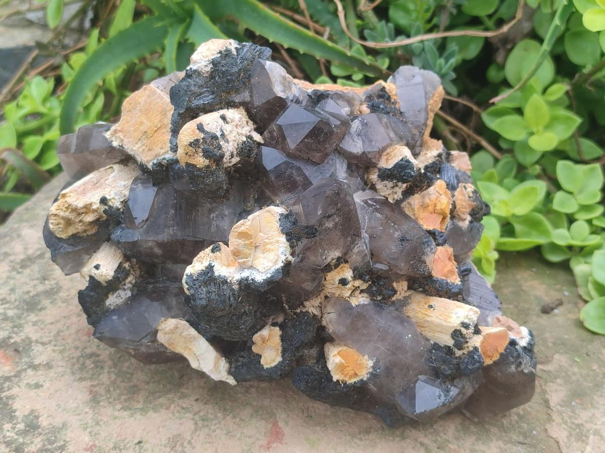 Natural Large Smokey Quartz Cluster with Schorl Black Tourmaline and Feldspar x 1 From Erongo, Namibia - Toprock Gemstones and Minerals 