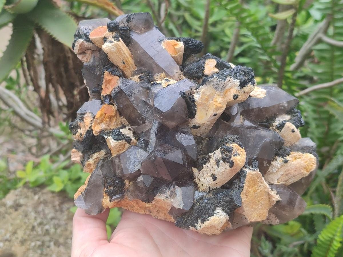 Natural Large Smokey Quartz Cluster with Schorl Black Tourmaline and Feldspar x 1 From Erongo, Namibia - Toprock Gemstones and Minerals 