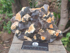 Natural Large Smokey Quartz Cluster with Schorl Black Tourmaline and Feldspar x 1 From Erongo, Namibia - Toprock Gemstones and Minerals 