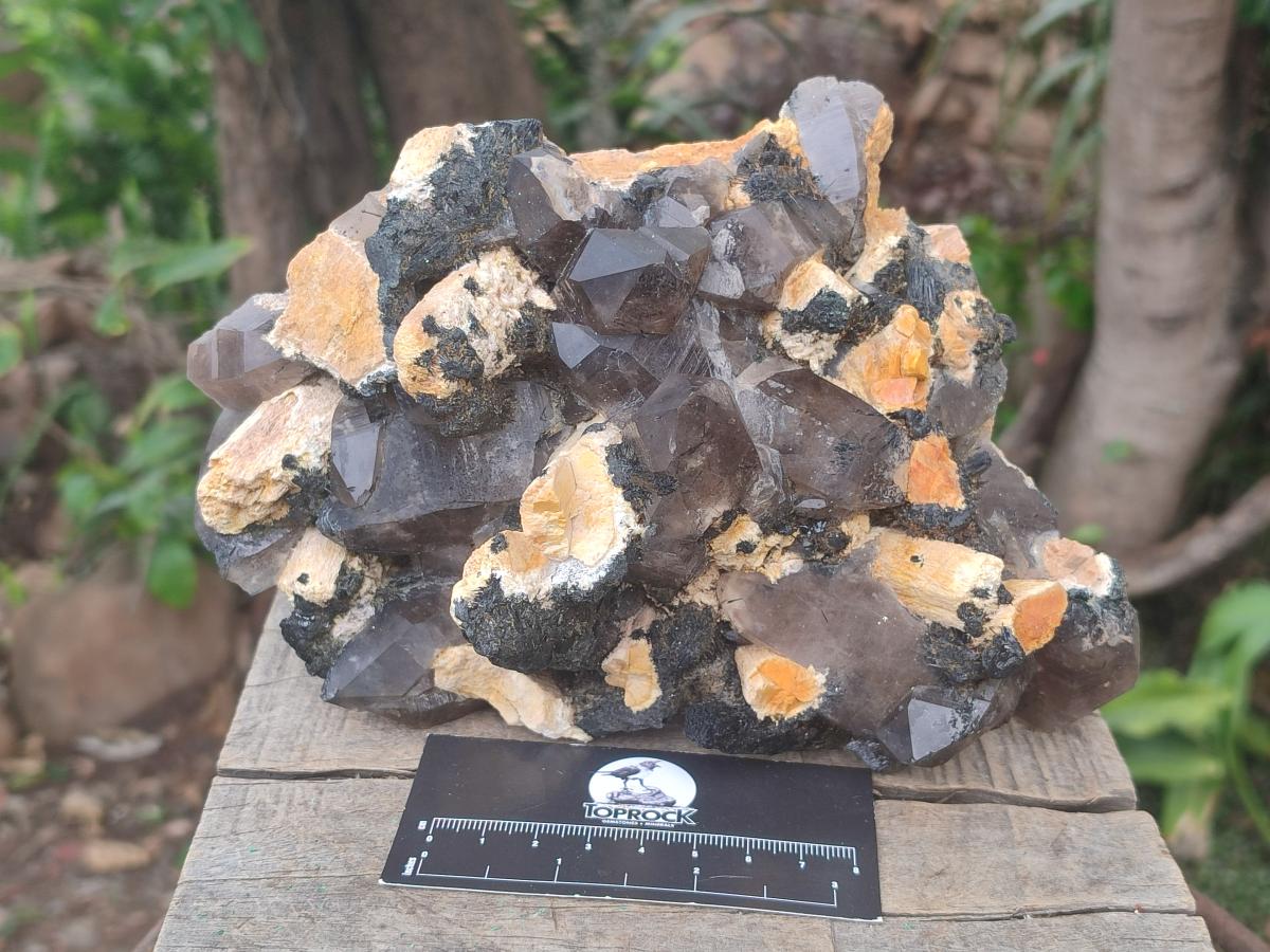 Natural Large Smokey Quartz Cluster with Schorl Black Tourmaline and Feldspar x 1 From Erongo, Namibia - Toprock Gemstones and Minerals 