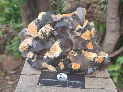 Natural Large Smokey Quartz Cluster with Schorl Black Tourmaline and Feldspar x 1 From Erongo, Namibia - Toprock Gemstones and Minerals 