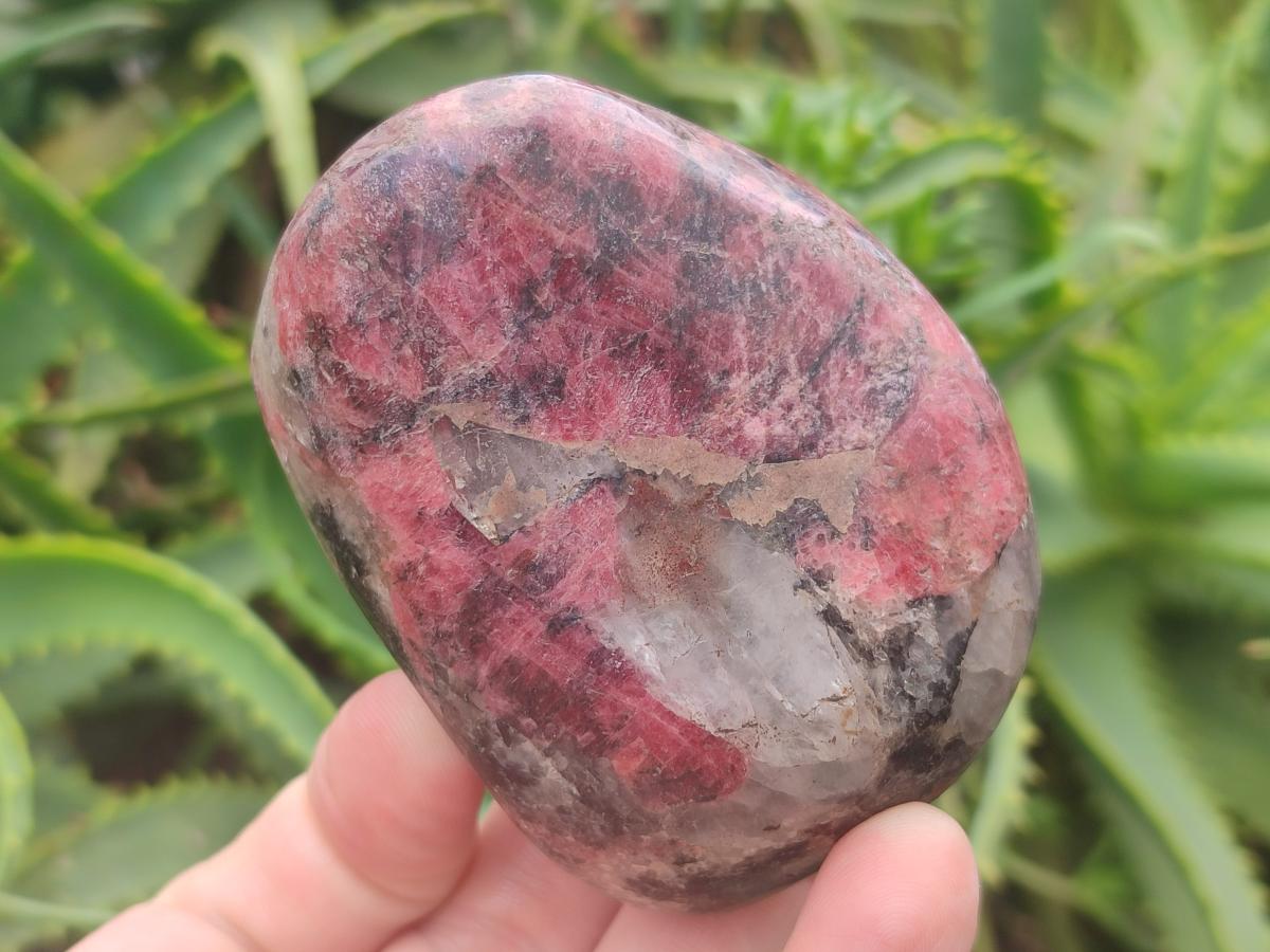 Polished Red Rhodesian Rhodonite Free Forms x 7 From Rhusinga, Zimbabwe - Toprock Gemstones and Minerals 