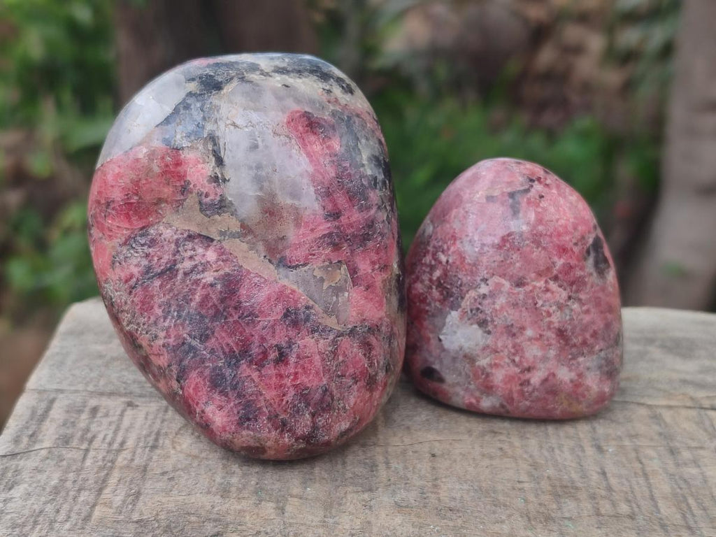 Polished Red Rhodesian Rhodonite Free Forms x 7 From Rhusinga, Zimbabwe - Toprock Gemstones and Minerals 