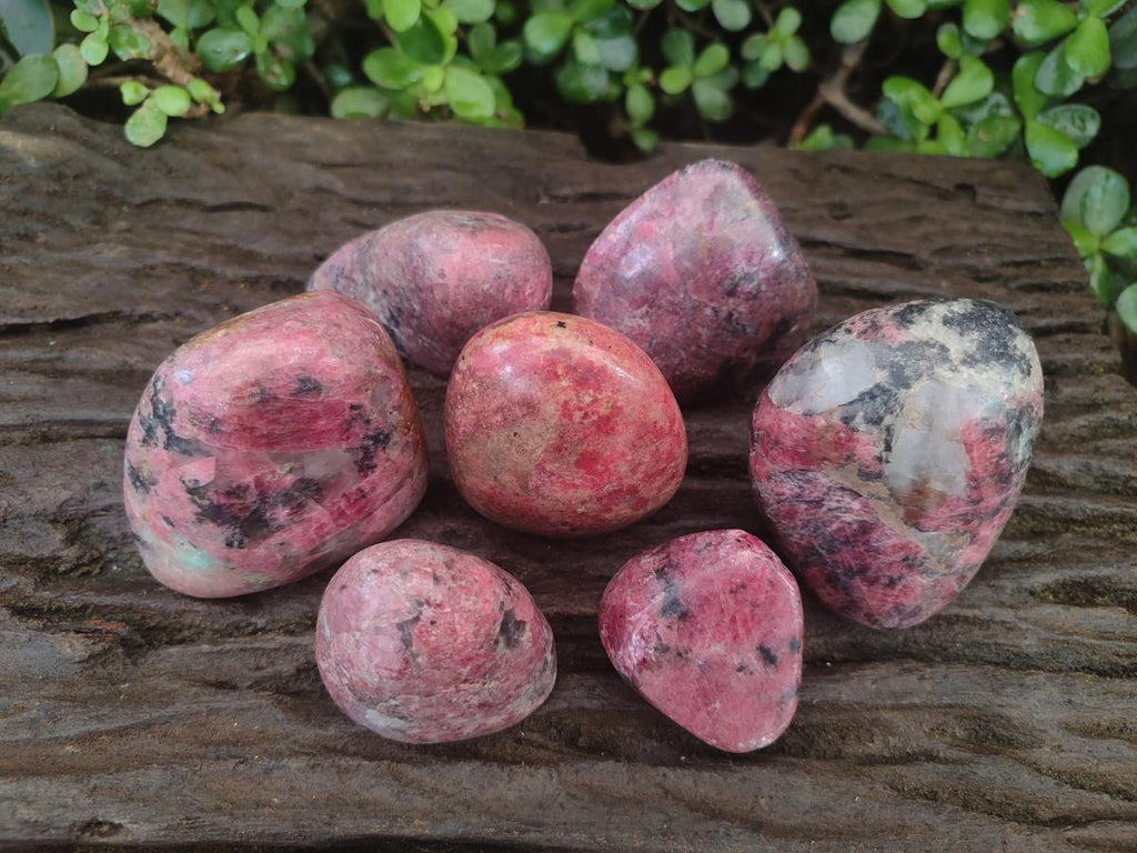 Polished Red Rhodesian Rhodonite Free Forms x 7 From Rhusinga, Zimbabwe - Toprock Gemstones and Minerals 