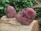 Polished Red Rhodesian Rhodonite Free Forms x 7 From Rhusinga, Zimbabwe - Toprock Gemstones and Minerals 