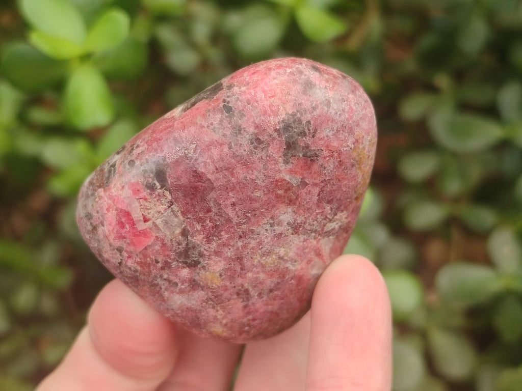 Polished Red Rhodesian Rhodonite Free Forms x 7 From Rhusinga, Zimbabwe - Toprock Gemstones and Minerals 