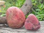 Polished Red Rhodesian Rhodonite Free Forms x 7 From Rhusinga, Zimbabwe - Toprock Gemstones and Minerals 