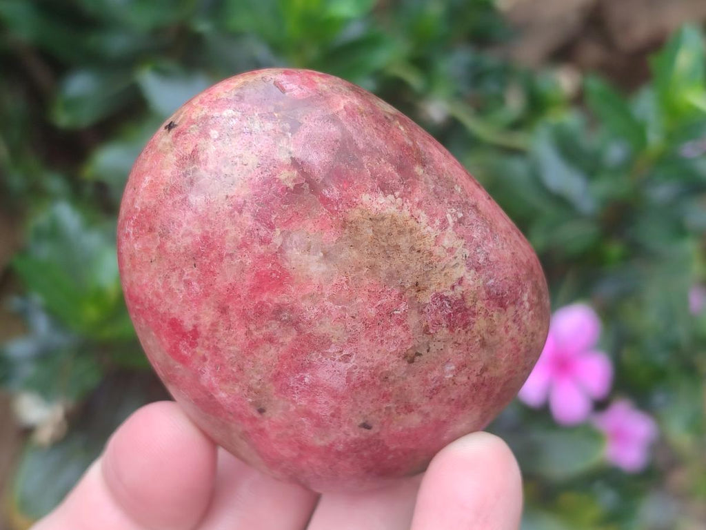 Polished Red Rhodesian Rhodonite Free Forms x 7 From Rhusinga, Zimbabwe - Toprock Gemstones and Minerals 
