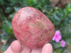 Polished Red Rhodesian Rhodonite Free Forms x 7 From Rhusinga, Zimbabwe - Toprock Gemstones and Minerals 