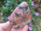 Polished Red Rhodesian Rhodonite Free Forms x 7 From Rhusinga, Zimbabwe - Toprock Gemstones and Minerals 