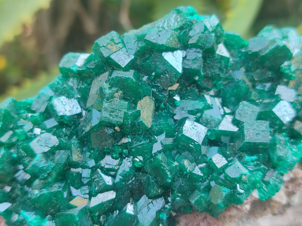 Natural Large Cabinet Size Dioptase Specimens on Dolomite Matrix x 2 From Tantara Mine, Congo - Toprock Gemstones and Minerals 