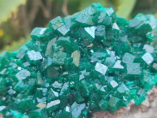 Natural Large Cabinet Size Dioptase Specimens on Dolomite Matrix x 2 From Tantara Mine, Congo - Toprock Gemstones and Minerals 