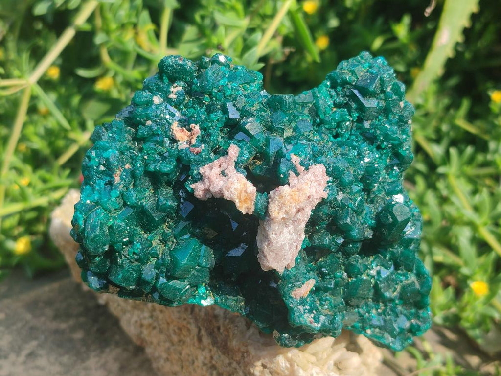 Natural Large Cabinet Size Dioptase Specimens on Dolomite Matrix x 2 From Tantara Mine, Congo - Toprock Gemstones and Minerals 