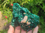 Natural Large Cabinet Size Dioptase Specimens on Dolomite Matrix x 2 From Tantara Mine, Congo - Toprock Gemstones and Minerals 