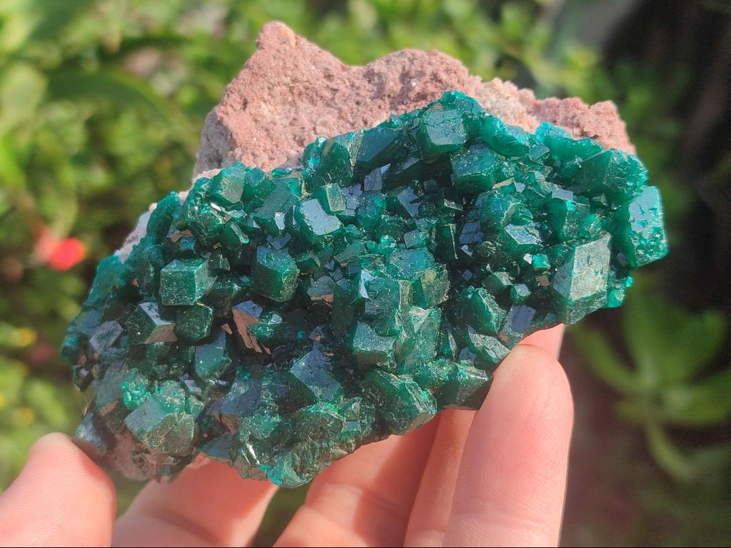 Natural Large Cabinet Size Dioptase Specimens on Dolomite Matrix x 2 From Tantara Mine, Congo - Toprock Gemstones and Minerals 