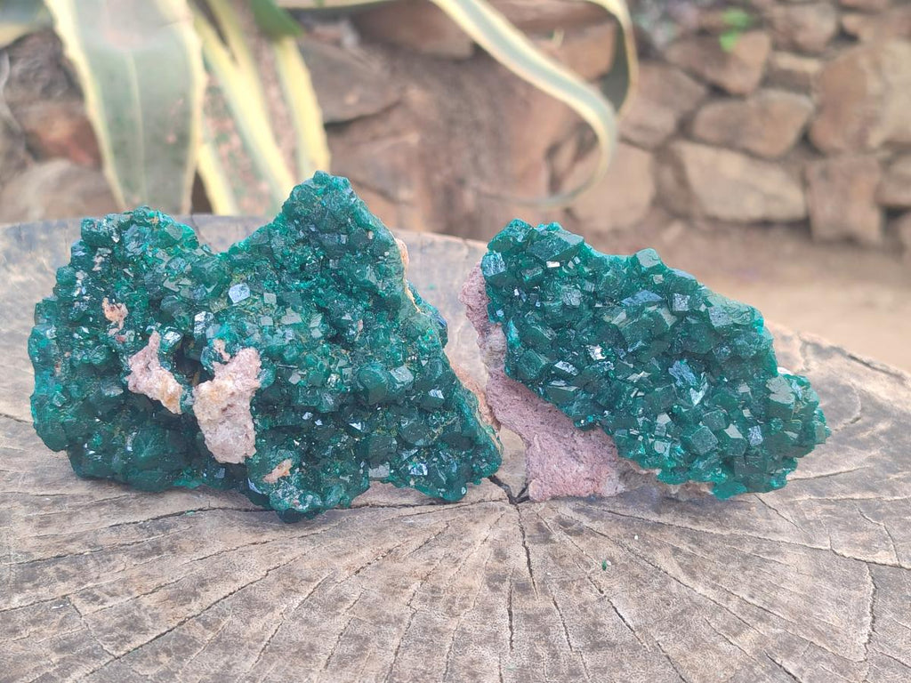 Natural Large Cabinet Size Dioptase Specimens on Dolomite Matrix x 2 From Tantara Mine, Congo - Toprock Gemstones and Minerals 