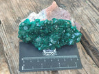 Natural Large Cabinet Size Dioptase Specimens on Dolomite Matrix x 2 From Tantara Mine, Congo - Toprock Gemstones and Minerals 