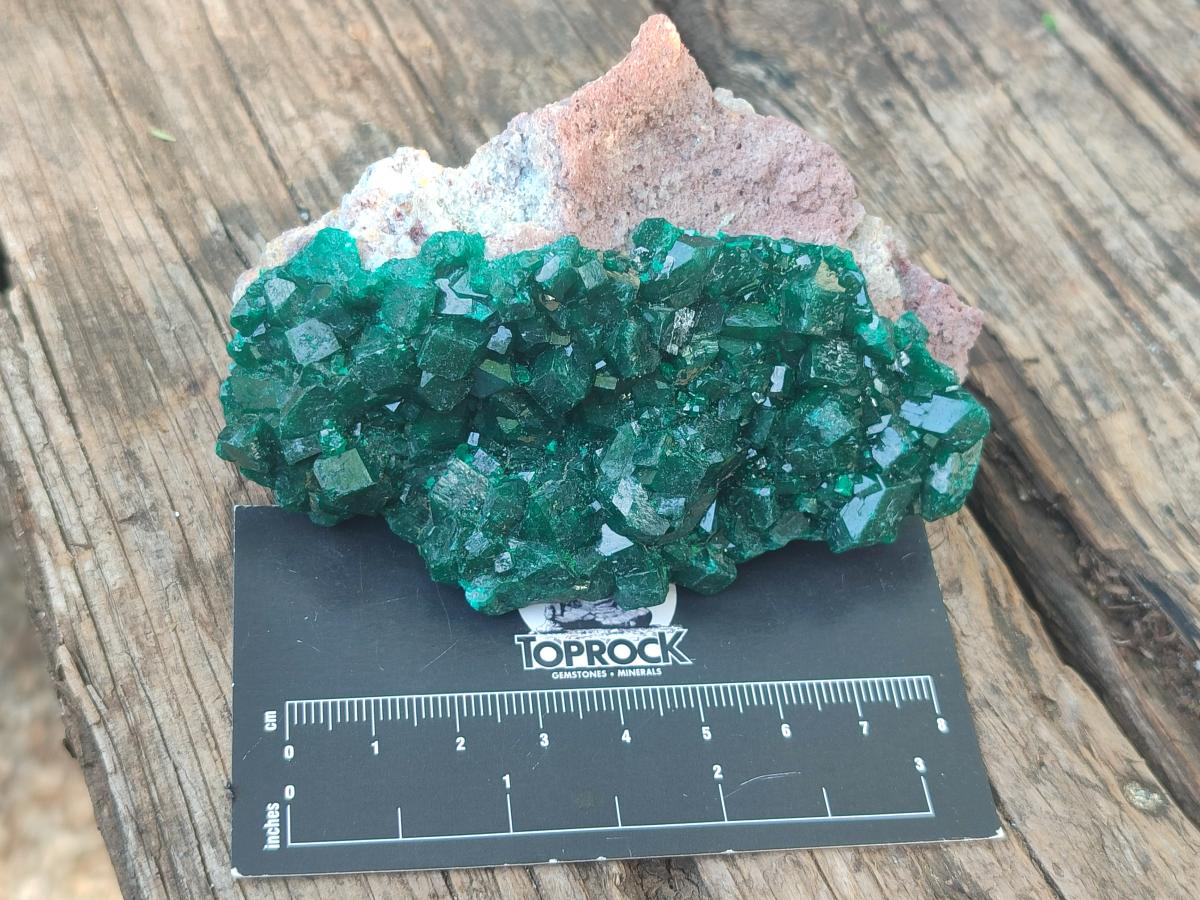 Natural Large Cabinet Size Dioptase Specimens on Dolomite Matrix x 2 From Tantara Mine, Congo - Toprock Gemstones and Minerals 