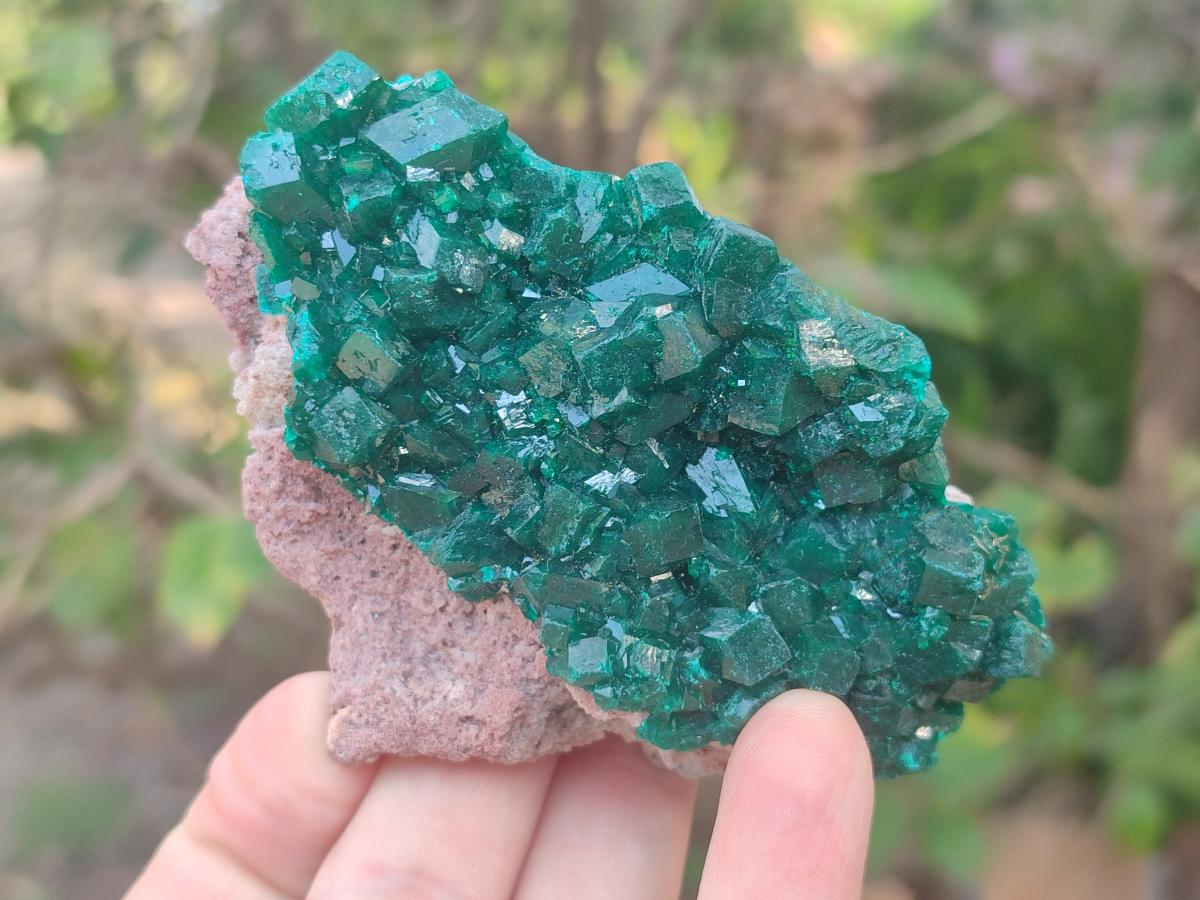 Natural Large Cabinet Size Dioptase Specimens on Dolomite Matrix x 2 From Tantara Mine, Congo - Toprock Gemstones and Minerals 
