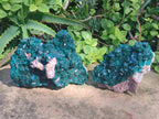 Natural Large Cabinet Size Dioptase Specimens on Dolomite Matrix x 2 From Tantara Mine, Congo - Toprock Gemstones and Minerals 