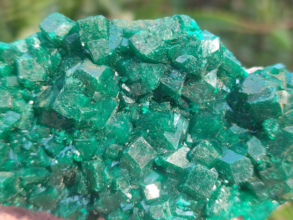 Natural Large Cabinet Size Dioptase Specimens on Dolomite Matrix x 2 From Tantara Mine, Congo - Toprock Gemstones and Minerals 