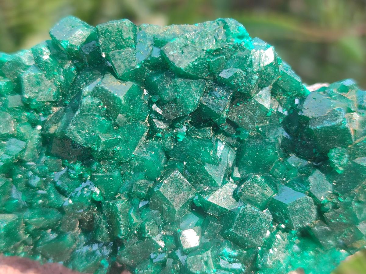 Natural Large Cabinet Size Dioptase Specimens on Dolomite Matrix x 2 From Tantara Mine, Congo - Toprock Gemstones and Minerals 