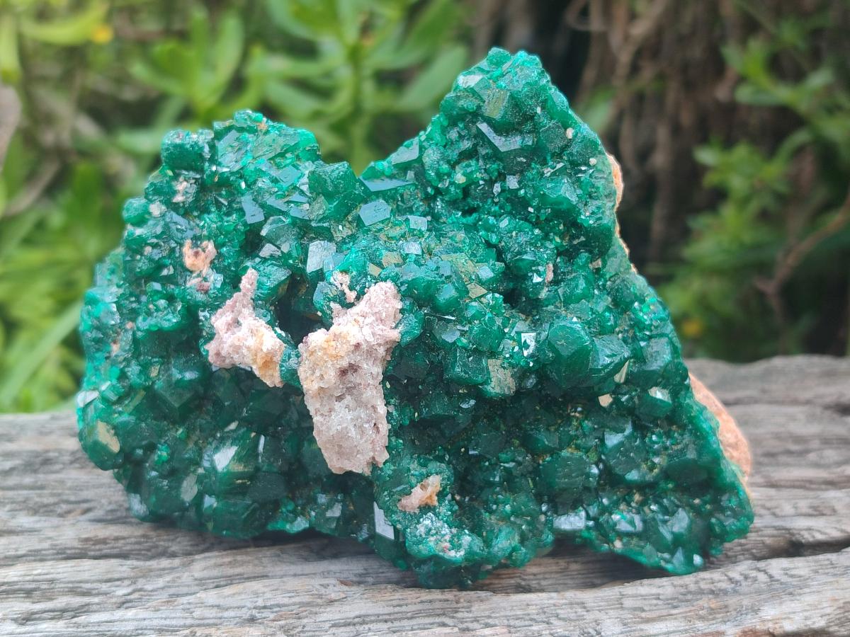 Natural Large Cabinet Size Dioptase Specimens on Dolomite Matrix x 2 From Tantara Mine, Congo - Toprock Gemstones and Minerals 
