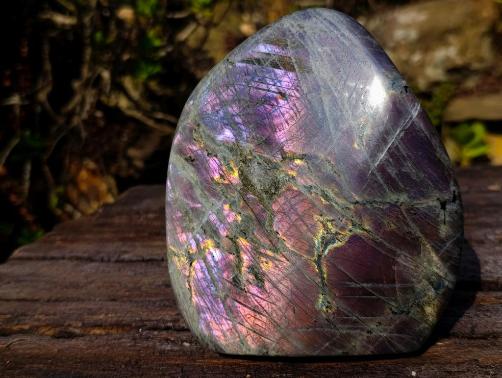 Polished Large Rare Purple Sunset Flash Labradorite Standing Display Piece x 1 From Madagascar
