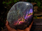 Polished Large Rare Purple Sunset Flash Labradorite Standing Display Piece x 1 From Madagascar
