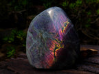 Polished Large Rare Purple Sunset Flash Labradorite Standing Display Piece x 1 From Madagascar