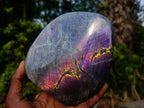 Polished Large Rare Purple Sunset Flash Labradorite Standing Display Piece x 1 From Madagascar